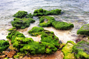 vibrant coastal vista