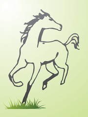 horse running sketch vector