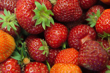 strawberry background