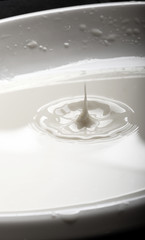 Fototapeta na wymiar kropla mleka