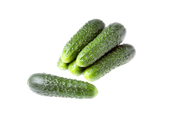 fresh cucumber