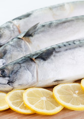 mackerel with lemon