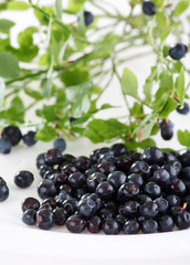 blueberries with green leaves