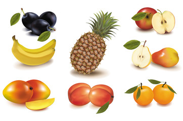 Photo-realistic vector illustration. Big group of exotic fruit.