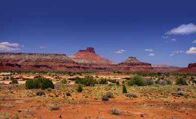Scenic desert landscape in Utah