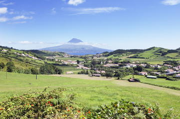 Landscape of Faial, Azores