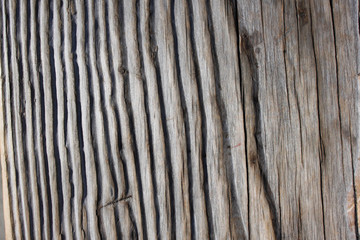 Aged wood close up view