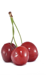 cherry