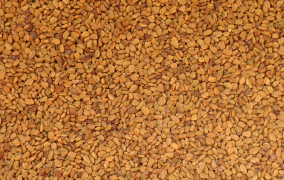 Egyptian yellow tea helba background