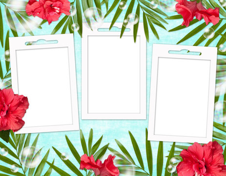 Summer background with frame and flowers