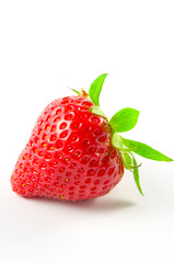 Erdbeere