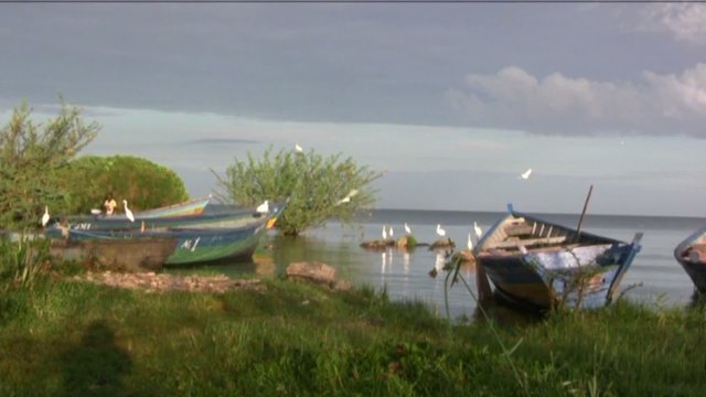 lago Vittoria Tanzania