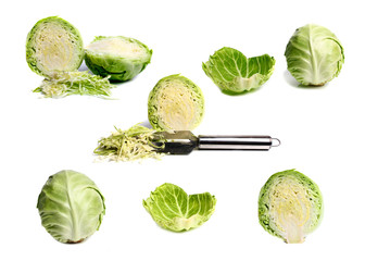 cabbage