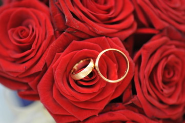 roses and gold rings