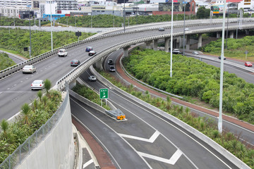 Auckland - flyover freeway bridge