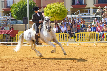 Doma vaquera © risquemo