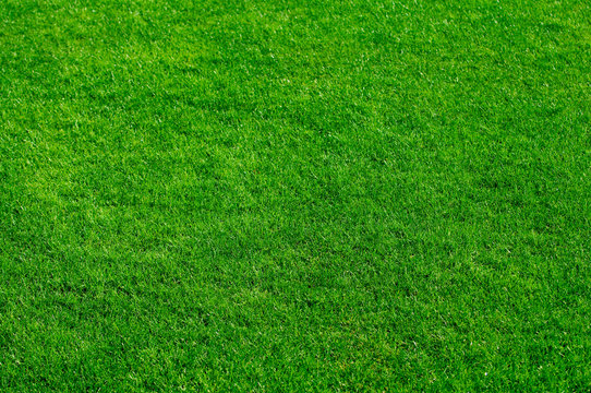 Green grass 2