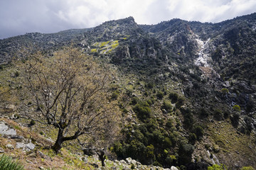 Sierra de Gredos. Castilla León. España