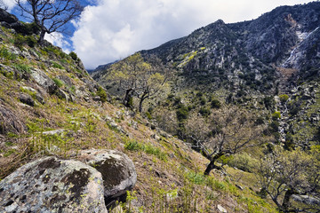 Sierra de Gredos. Garganta Tejea