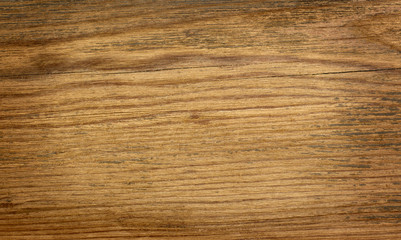 wooden background nature