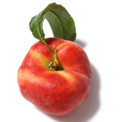 Pêche plate
