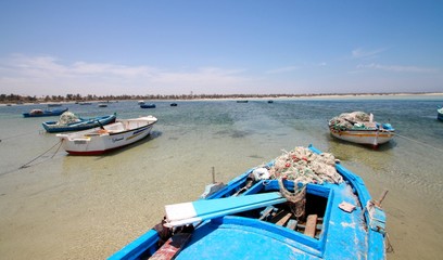 Fototapeta na wymiar Tunezja - Djerba - Dzikie Wybrzeże