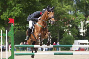 Springreiten © Bergringfoto