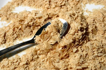 levure de bière