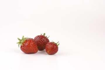 Erdbeere