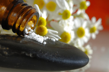 Obraz na płótnie Canvas Globuli auf Stein mit Kamille chamomilla