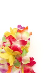 Hawaiian lei