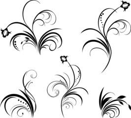 Five floral elements for design. Vector