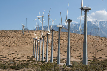 Windmill Farm