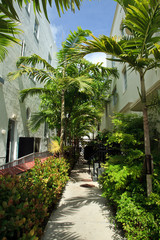 Fototapeta premium Miami Beach Alley