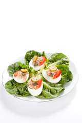 salad of letuce egg tuna and olive
