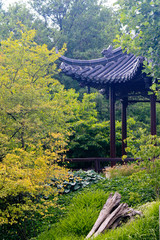 Asian garden
