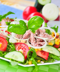 Grüner Salat mit Thunfisch