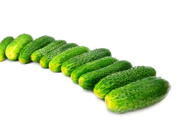 Green cucumber
