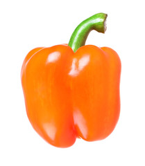 Fresh orange sweet pepper