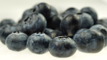 Bluebarries on white background