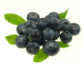 Blueberries on white background