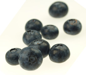 Blueberries on white background