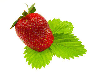 Strawberry on white background
