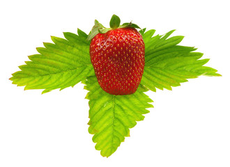 Strawberry on white background