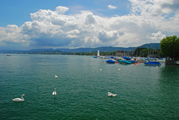 Peaceful scene along Zurich yacht port