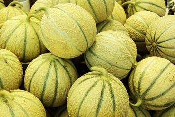 Melons