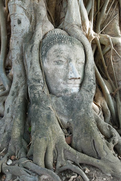 head of buddha image