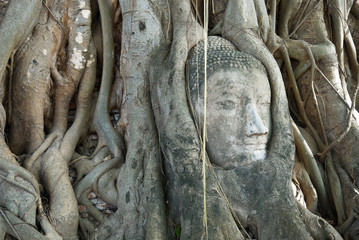 Fototapeta na wymiar head of buddha image