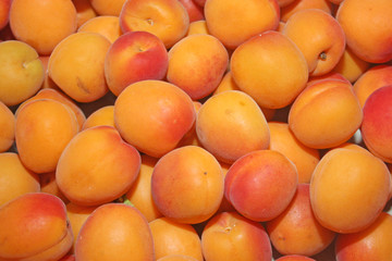abricots
