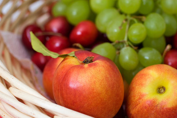 Obstkorb